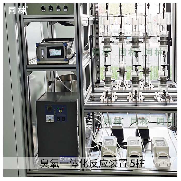 臭氧高級(jí)催化氧化裝置（5柱）